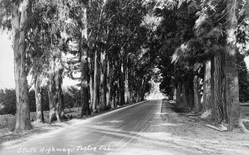 State Highway 101 in Tustin, ca. 1915