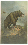 [Grizzly bear over San Francisco, 1906]