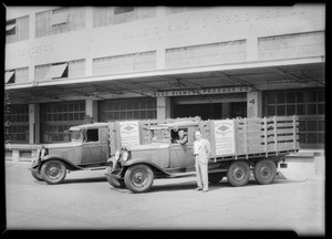 Blue Diamond Produce Co. trucks, Southern California, 1929