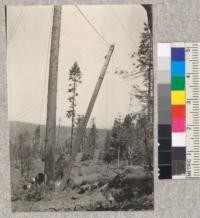4.3245 Type of gin pole and high lead spar tree used by Michigan-California Lumber Company. D. Bruce - May 1923