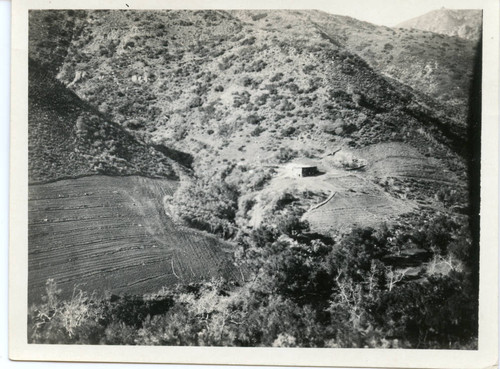 Cultivated land in a canyon, ca. 1910