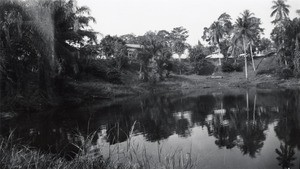 Small marsh in Ngomo, Gabon