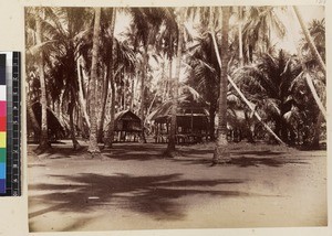 View of village, Kabadi district, Papua New Guinea, ca. 1890