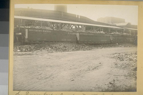 San Francisco Garbage Crematory, May 1906. Cars loaded with cinders awaiting removal