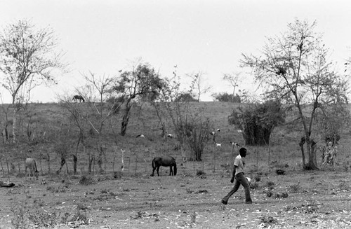 A man carrying a pot walks across a field, San Basilio de Palenque, 1977
