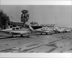 Airplanes at Sky Ranch airport in Petaluma, California, 1973