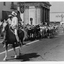View of riders from the State Fair Rodeo leading a herd of longhorns up K Street during the State Fair Parade. This was the last fair held at the old fair grounds