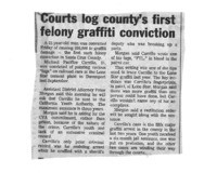 Courts log county's first felony graffiti conviction
