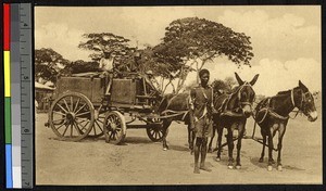 Hauling water at the mission hospital, Lubumbashi, Congo, ca.1920-1940