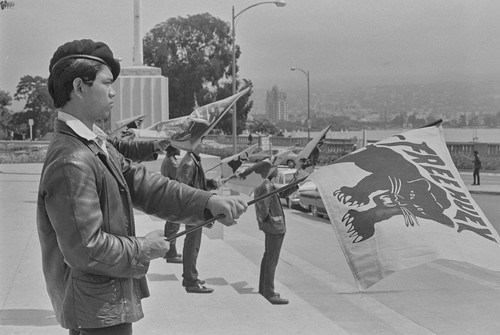 Black Panther holding flag, Alameda County Courthouse, Oakland, CA #164