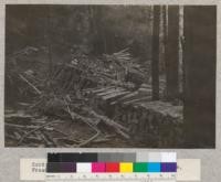 Cord wood made from refuse left by the makers, Freshwater, August, 1923