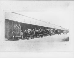 Flat bed trucks and horse drawn wagons loaded with bags of feed and hay, Petaluma, California, 1920