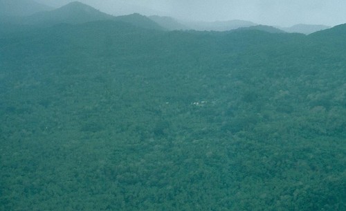 Misty Waileni from the Air