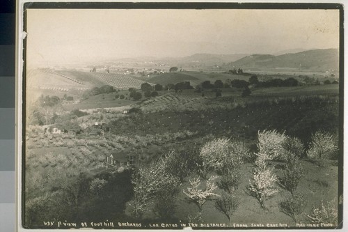 A view of Foothill Orchards, Los Gatos in the distance, from Santa Cruz Mountains. No. 635
