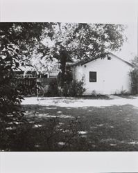 Outlying structure located in the backyard of 815 Beaver Street, Santa Rosa, California, about 1953