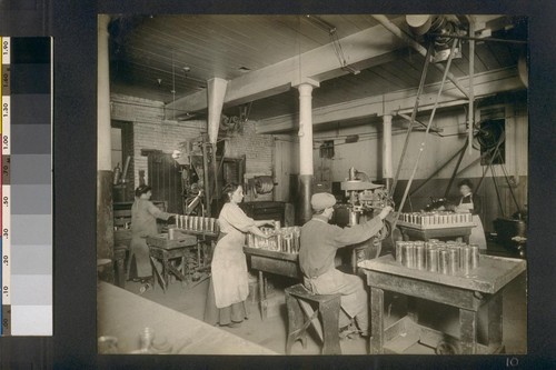 [Factory workers in canning area.]