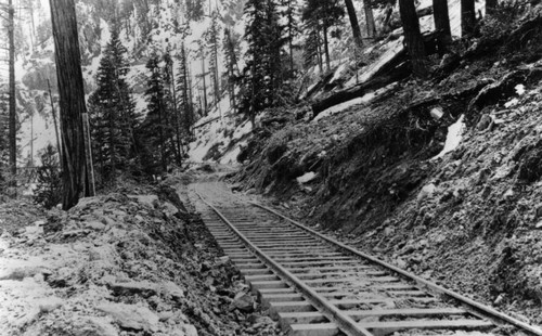 Indian Valley Railroad Tracks