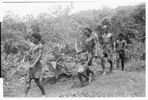 Returning to the clearing after ritual washing and 'uinga; the young men will go straight to the taualea shelter for beritaunga