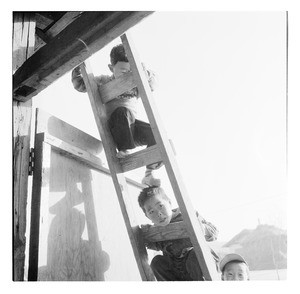 Young boys climbing a ladder, South Korea