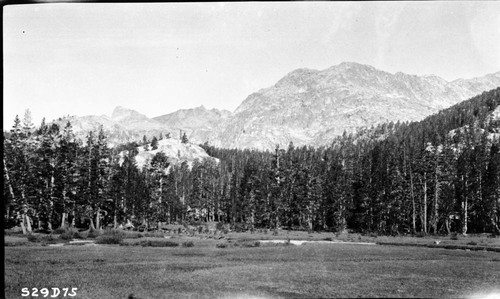 High Sierra Trail Investigation, Gallats Lake area. Subalpine Meadow Plant Community, Subalpine Forest Plant Community