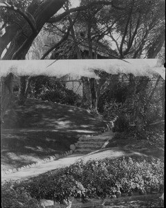 Stone steps and a walkway in Busch Gardens, ca. 1919-1940