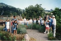 Mill Valley Children's Garden 3rd grade Outdoor Classroom, 1995-1996