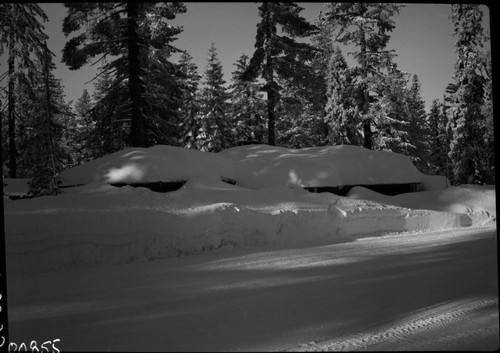 Record Heavy Snows, Critical snow conditions at Grant Grove after storm of February 4, 5, 6