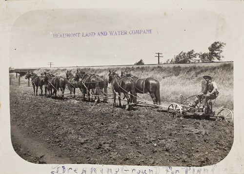A worker plowing and breaking ground for planting crops