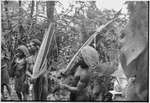 Pig festival, uprooting cordyline ritual, Tsembaga: men display large red pandanus fruits, associated with red spirit of the high ground