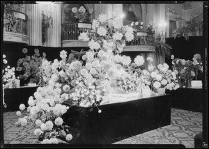 Vernon Floral Co., dahlia show, Southern California, 1932