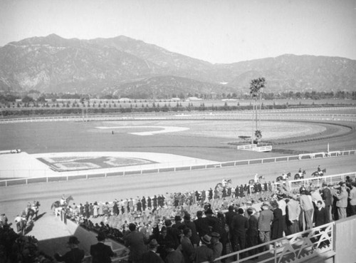 Horses walk onto the track, Santa Anita Racetrack
