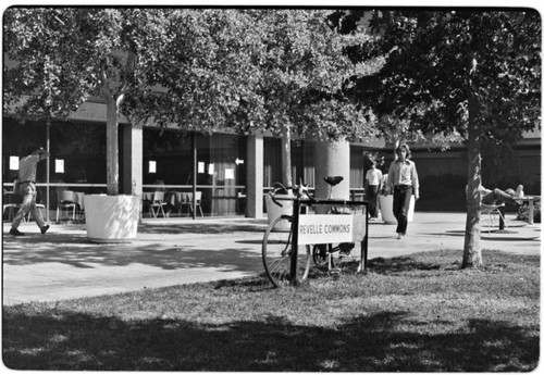 Revelle Commons