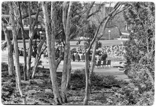 Revelle College convocation