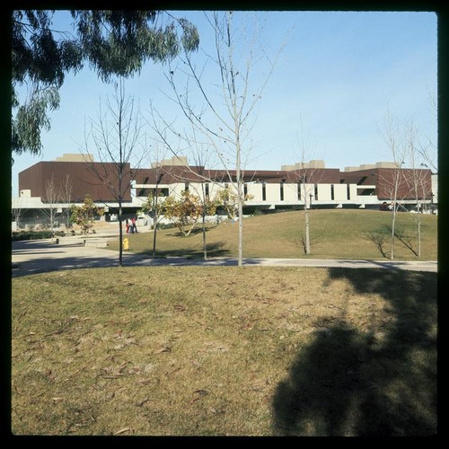 Mandeville Center