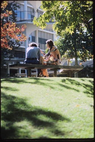 Students sitting on bench at Revelle College