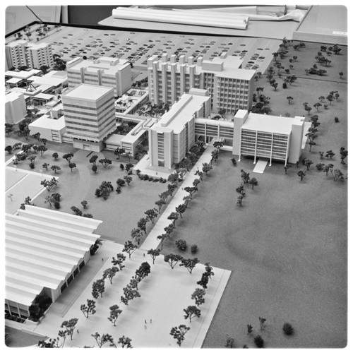 John Muir College model