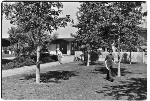 Revelle Commons