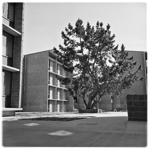 Revelle Residence Halls