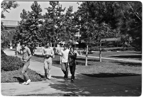 Revelle Commons