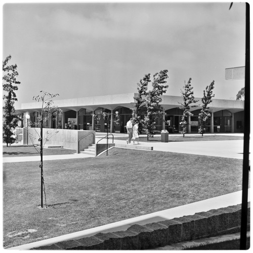 Revelle Commons