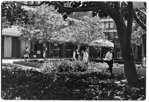 Revelle Commons