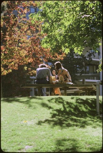 Students sitting on bench at Revelle College