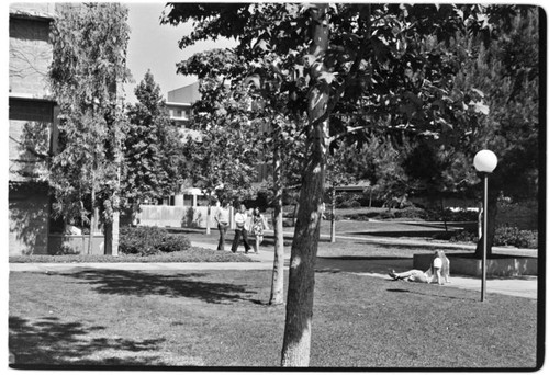 Revelle Commons