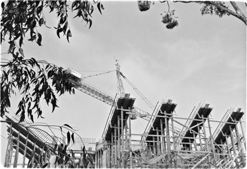 Geisel Library under construction