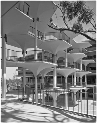 Breezeway between Mayer Hall and Bonner Hall