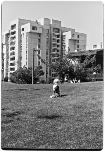 Stewart Commons and Tenaya Hall