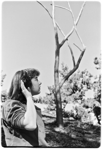 Silent Tree sculpture in front of Geisel Library entrance