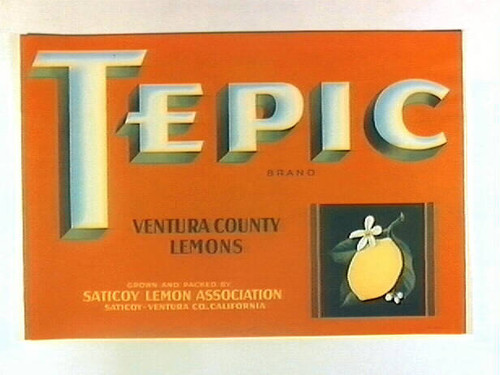 Tepic Brand