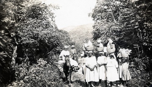 680. Haiti: milkmaids returning from Port au Prince
