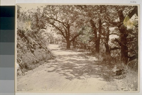 Road scene on Mount Hamilton, California [No. cropped]
